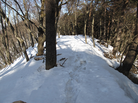 20180209hike (194)